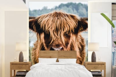Behang - Fotobehang Koeien - Schotse hooglander - Bruin - Natuur - Breedte 195 cm x hoogte 260 cm