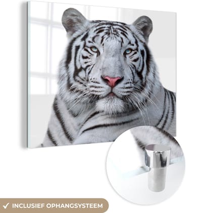 MuchoWow® Glasschilderij 40x30 cm - Schilderij acrylglas - Tijger - Wit - Dieren - Foto op glas - Schilderijen