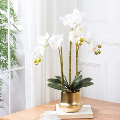 Kunstorchidee Phalaenopsis - Nep bloemen Kunstbloemen - Woonkamer Decoratie - Natuurlijke Textuur - 60 cm Hoog - Wit
