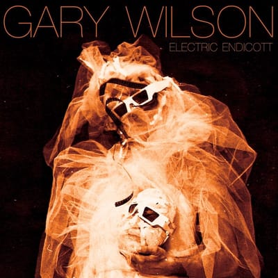 Gary Wilson - Electric Endicott (CD)