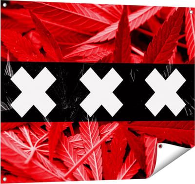 Gards Tuinposter Amsterdamse Vlag met Cannabis Achtergrond - 100x80 cm - Tuindoek - Tuindecoratie - Wanddecoratie buiten - Tuinschilderij