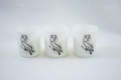 ZoeZo Design - 6 stuks - Waxinelichtjeshouder - met Bolsius kaars - wit - glas - uil - H8 x Ø 7 cm