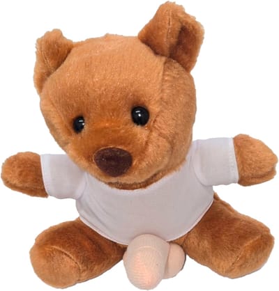 Ondeugende Teddy Beer Met Penis – Bruin Pluche Beertje met Grappige Twist | Kinky Pleasure