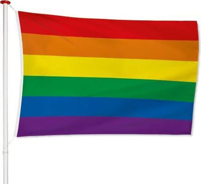 Regenboog Vlag 70x100cm - LGBT Gay Pride Vlag - Rainbow Flag - Regenboogvlag - Regenboog Decoratie