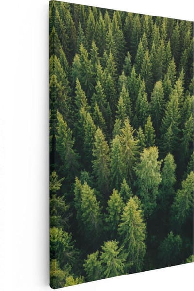 Artaza Canvas Schilderij Bos - 80x120 cm - Groot - Wanddecoratie Natuur - Muurdecoratie Bomen - Schilderijen Op Canvas Landschap