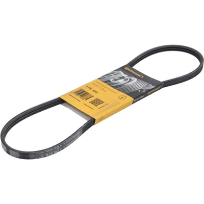 Continental Ctam Poly V-riem CONTINENTAL 3 PK 870