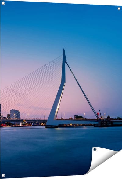 Gards Tuinposter Erasmusbrug in Rotterdam met Zonsondergang - 80x100 cm - Tuindoek - Tuindecoratie - Wanddecoratie buiten - Tuinschilderij