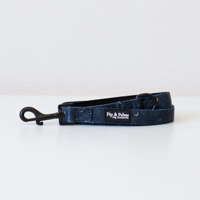 Pip & Palms - Hondenriem Over the Moon - 152cm lang - Blauw - 2cm breed - Comfortabel & Stijlvol - Honden looplijn - Voor Wandelen en Training