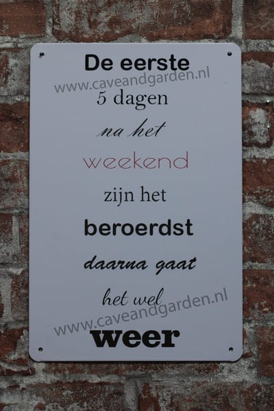 Wandbord - De eerste 5 dagen - Metalen wandbord - Mancave - Mancave decoratie - Metalen borden - Metal sign - Bar decoratie - Tekst bord - Wandborden – Bar - Wand Decoratie - Metalen bord - UV best