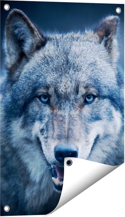 Gards Tuinposter Wolvenkop met Blauwe Ogen - Wolf - 40x60 cm - Tuindoek - Tuindecoratie - Wanddecoratie buiten - Tuinschilderij