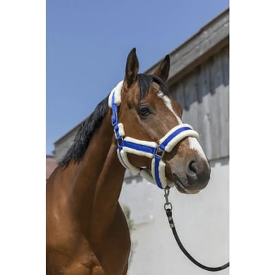 Halster voor paarden Norton Cosy