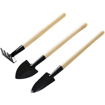 Drie delige set mini-tuingereedschap, Kleine ijzeren schep/hark/spade voor succulenten, Huishoudelijke plantenbak en tuingereedschapset