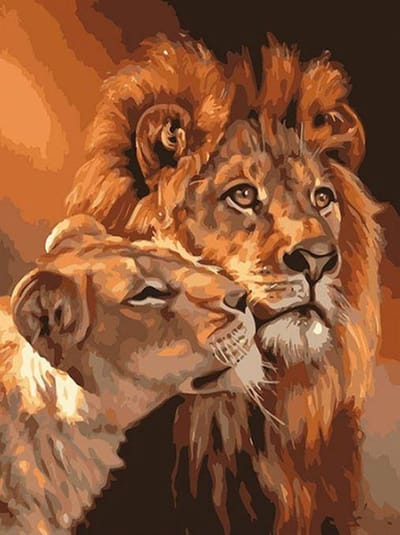 Paint By Numbers - Schilderen op Nummer - Leeuw & Leeuwin - 50x40cm - Volwassenen - Stipco