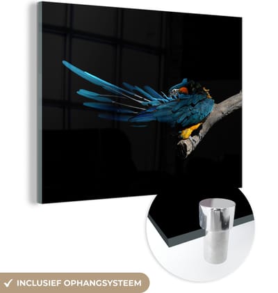 MuchoWow® Glasschilderij 160x120 cm - Schilderij acrylglas - Vogel - Veren - Tak - Zwart - Foto op glas - Schilderijen