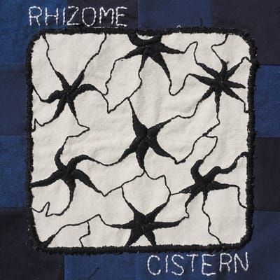 Cistern - Rhizome (LP)