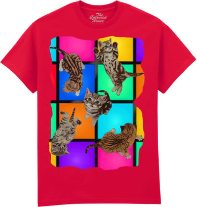 Disco Kittens The Coloured House T-shirt M