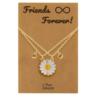 BFF Ketting voor 2 ' Friends Forever' - Magnetische Bloem - Vriendschapsketting op Cadeau Kaartje - 45cm + 5cm verstelbaar - Goudkleurig - Best Friends Hanger - Pax Amare