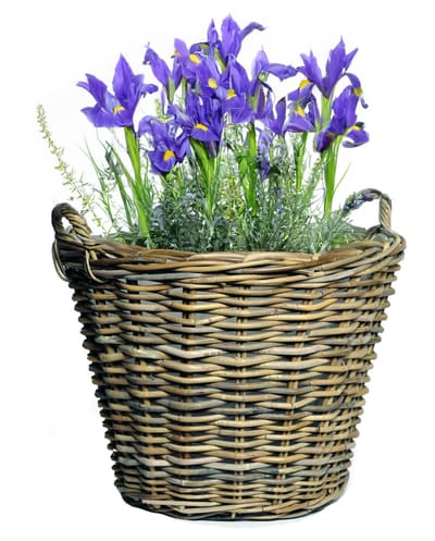 Mega Collections Plantenmand - bloemenmand - D45 x H35 cm - rond - rotan gevlochten - rieten mand