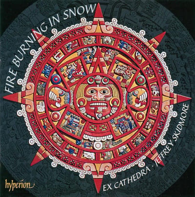 Fire Burning In Snow