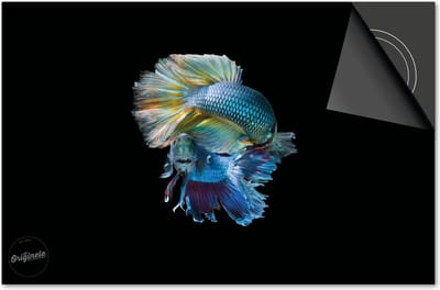 Inductie beschermer 60x60 - afdekplaat inductie mat - Dietrix Kookplaat beschermer - Exclusief - Under the Sea - Tropische Vis