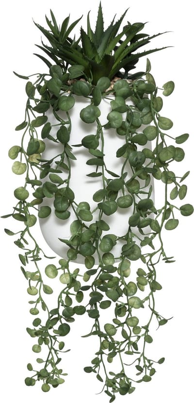 Kunstplant PEPEROMIA, hangend