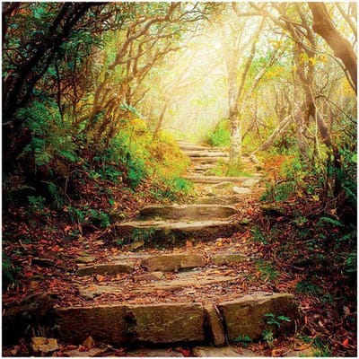 Yogi & Yogini naturals Dubbele kaart The road ahead (14x14cm)
