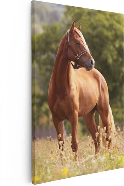 Artaza Canvas Schilderij Paard - 40x60 cm - Wanddecoratie Weiland - Muurdecoratie Dieren - Schilderijen Op Canvas