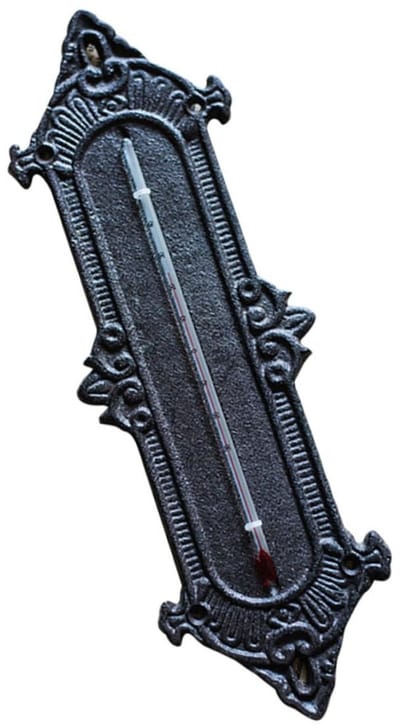 Buiten Thermometer - Temperatuurmeter Weer - Wanddecoratie Buiten - Nauwkeurige Testen - 31x10.5cm - Zwart