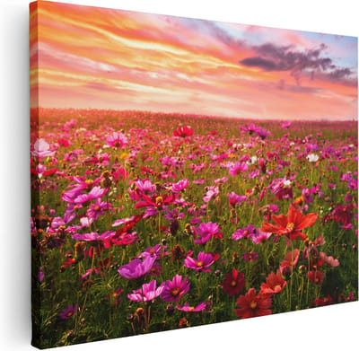 Artaza Canvas Schilderij Cosmea Bloemen - 40x30 cm - Klein - Wanddecoratie Bloemenweide - Muurdecoratie Natuur - Kamer Accessoires