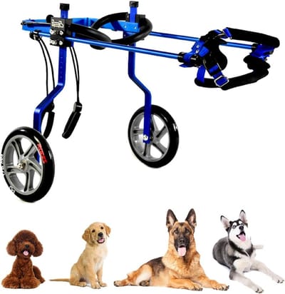 Huisdier Rolstoel - Honden Trolley - Mobiliteit Hulp - Verstelbare Hoogte - 1-60 kg - Blauw
