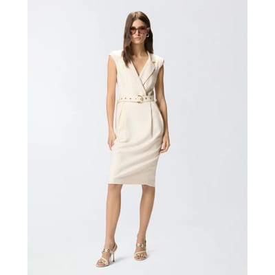 Pinko amadine frisottino jurk ss26
