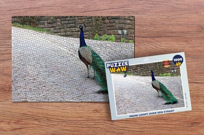 Puzzel Pauw - Veren - Stenen - Legpuzzel - Puzzel 1000 stukjes volwassenen