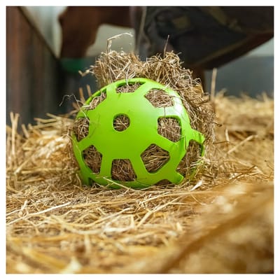 Hay Slowfeeder Fun&Flex Ø 22 cm – Hooinet paarden - Slowfeeder paarden – Geschikt voor grazende dieren – Tegen stalververling – Tot 1 kg hooi - Groen
