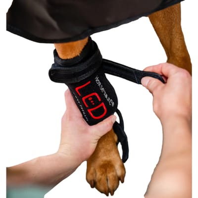 LED Roodlichttherapie Verbanden voor Honden Horseware
