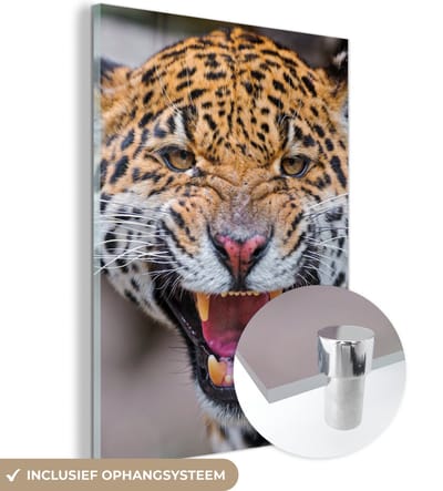 MuchoWow® Glasschilderij 90x120 cm - Schilderij acrylglas - Jaguar - Macro - Dier - Foto op glas - Schilderijen