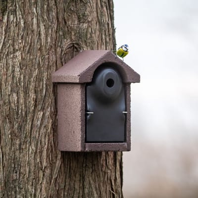 CJ Wildlife Nestkast - Aanbevolen door de Vogelbescherming Nederland - Bilbao - 28mm - Nestkastje voor o.a. Koolmees, Boomklevers & Mussen - Woodstone Vogelhuisje - FSC-gecertificeerd - Bruin