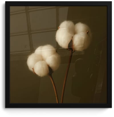 Poster in lijst - Fotolijst 40x40 cm - Posters - Takken - Katoen - Wit - Bollen - Posterlijst zwart - Decoratie - Wanddecoratie woonkamer - Muurdecoratie slaapkamer