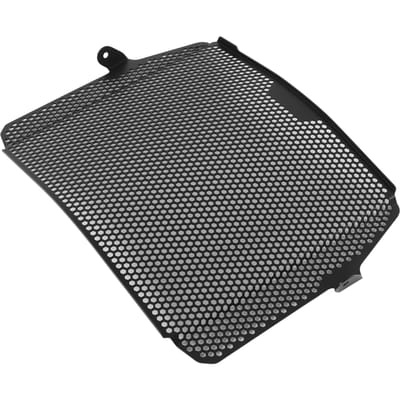 Radiateurgrillbeschermer Afdekking Motoraccessoires Vervanging voor 765RS Triple S R 2020+ gray