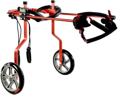 Huisdier Rolstoel - Hond Kat Hulp - Mobiliteit Verbeteren - Verstelbaar Aluminium Frame - XXL - Rood