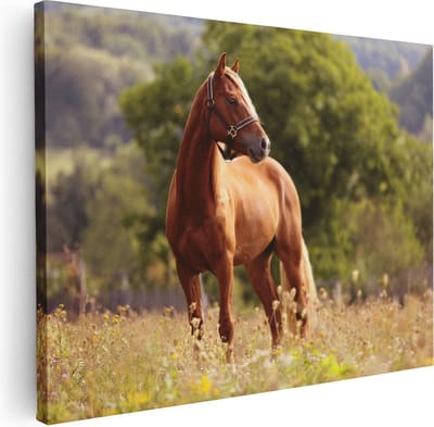 Artaza Canvas Schilderij Paarden - 40x30 cm - Klein - Muurdecoratie Natuur - Wanddecoratie Woonkamer - Kamer Accessoires