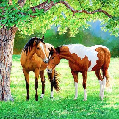 Diamant schilderij kruissteek twee paarden op grasland handwerk diamant borduurwerk diamant decor 30x30CM green