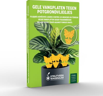 Strijtveen & Wagenaar - Vangplaten 12 Stuks - Effectief Tegen Bladluizen, Fruitvliegjes, Vliegen En Muggen - Met Extra Sterke Lijm En Zonder Chemicaliën!