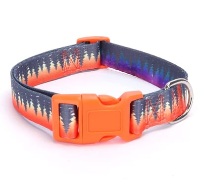 Dailygoods- Hondenhalsband Verstelbaar - Zachte Puppyhalsband - Snelsluiting - Training - Geschikt voor Kleine/Middelgrote/Grote Honden - Kraagmaat S/M/L - Halsband