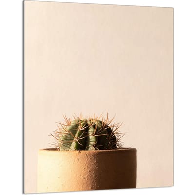 TMK ArtDeko - Kaktus Serie - Snijplank van Glas - 40x52 cm - Veiligheidsglas