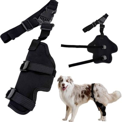 MAGICSHE Hondenbrace Achterpoot - Verstelbare Honden Brace - Wondbeschermer Hond - Anti-Lik Wondverband Voor Herstel Na Operaties En Verwondingen S