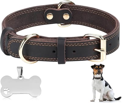 Verstelbare leren hondenhalsband met metalen gesp, zacht en sterk, vintage design, geschikt voor kleine, middelgrote en grote hondenrassen, 38-49 cm, met petlabel
