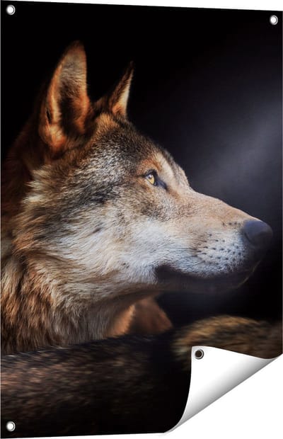 Gards Tuinposter Wolvenkop met een Zonnestraal - Wolf - 60x80 cm - Tuindoek - Tuindecoratie - Wanddecoratie buiten - Tuinschilderij