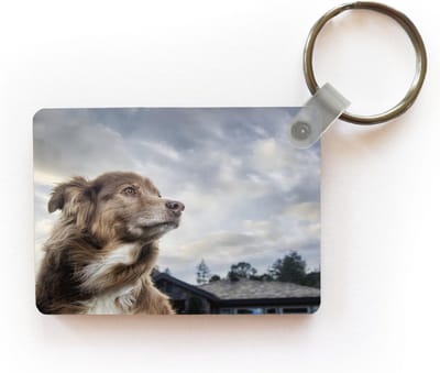 Sleutelhanger - Starende hond - Uitdeelcadeautjes - Plastic