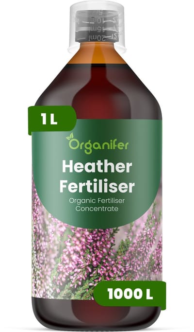Vloeibare Meststof Voor Heiderplant 1 L Voor 1000 L - Npk 2-1-8 - Sterke Groei - Vochtregulatie - Verbetert Bloemrijkheid - Kleurintensiteit En Seizoensbloei - Ondersteunt Een Gezonde Zuurgraad Van De Bodem - Organifer
