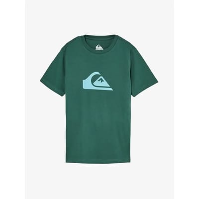 Quiksilver Evo Comp Logo T-shirt Met Korte Mouwen Groen 14 Years Jongen